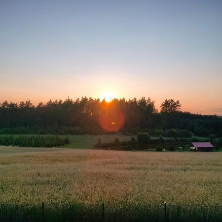 Agroturystyka U Kasi Suryty Eksteriør bilde