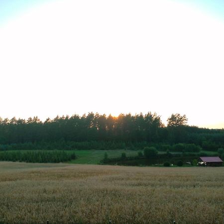 Agroturystyka U Kasi Suryty Eksteriør bilde