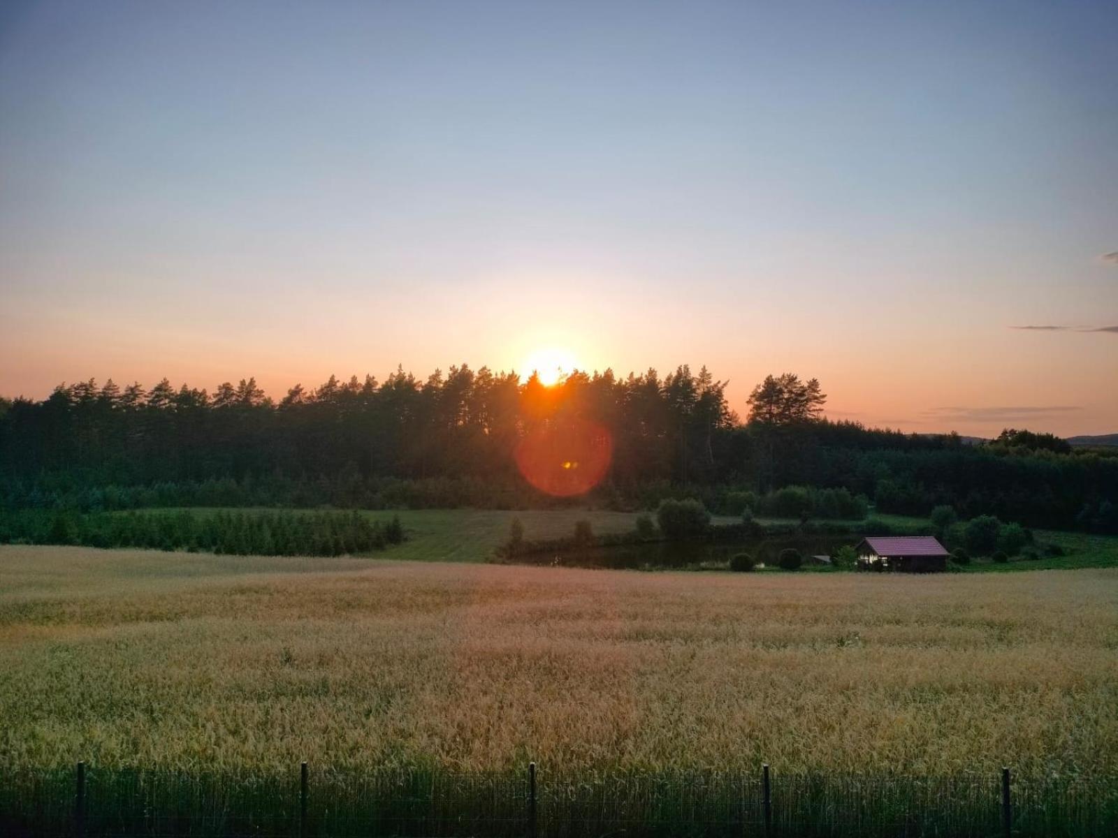 Agroturystyka U Kasi Suryty Eksteriør bilde
