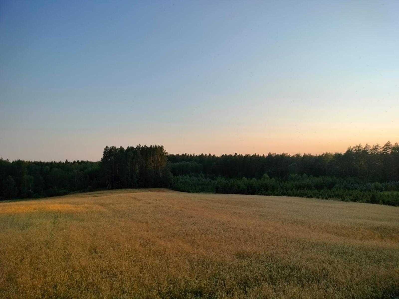 Agroturystyka U Kasi Suryty Eksteriør bilde